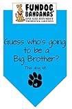 BANDANA - Guess Who's Going to Be a Big Brother for Medium to Large Dogs - turquoise