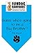 BANDANA - Guess Who's Going to Be a Big Brother for Medium to Large Dogs - turquoise