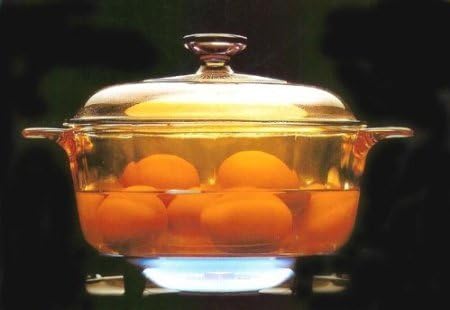 Visions Cookware Versa Concave Dutch Pot Pan Casserole Dish Style 3.25L