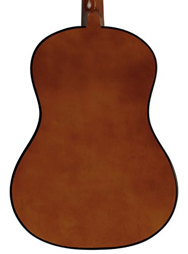 6 YMC+Beginner+Thickness+Pickguards+Electronic