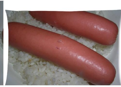 Russian sausage meat rice Zippered Pillow Cases Cover 20x30 Inch