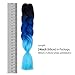 Ombre Kanekalon Braiding Hair Extensions 24