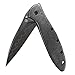 Kershaw Leek Pocket Knife, 3 Inch Composite Blackwash Blade 1660CBBW