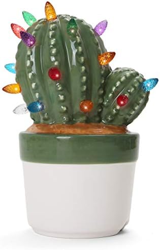 Trees - Ceramic Christmas Tree - Tabletop Christmas Tree with Lights - Lighted Vintage Ceramic Tree (Cactus Succulent, Succulent Green)