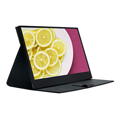 WIMAXIT 13.3 Inch Portable Monitor 