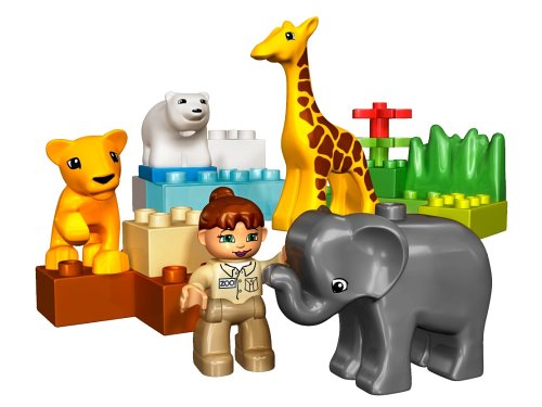 Male Zoo: 4962 – Bild 3