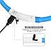 ITERY Dog Collar, Led USB Rechargeable Pet Safety Collar Waterproof Light up Adjustable Flashing Collar (Blue)