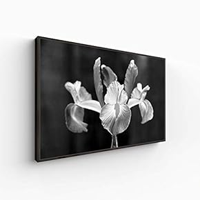 Canvas Wall Art for Living Room, Bedroom Monochrome Plants Framed Canvas Prints for Home Decoration Ready to Hang - 16x24 inches