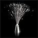 LED Fiber Optic Centerpiece Lamp