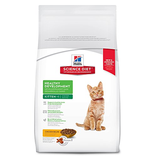 12 Best Dry Cat Food Brands To Buy For Your Cat The Cat Mama