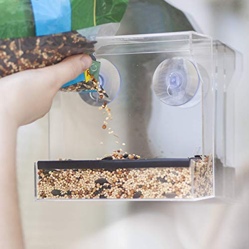 Wild Birds of Joy Window Bird Feeder with Strong Suction Cups and Seed