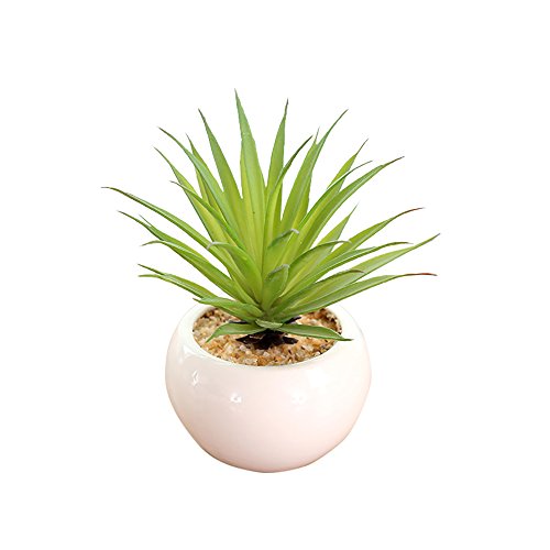 HIFUAR Realistic Artificial Green Succulent Plant Faux Potted Succulent for Home Indoor Decoration for Home(12x9cm)