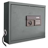 Sandusky Lee Wall-Mount Laptop Safe/Security Cabinet, Model# WLAP2016