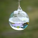 SOLEDI Hanging Terrarium Glass Hanging Teardrop Plant Terrariums from Glass Home Gardens