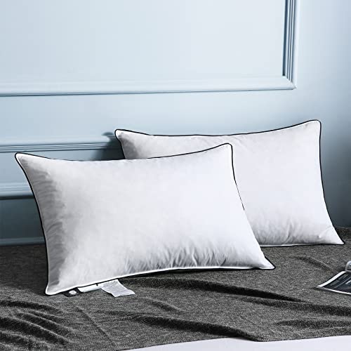 BPC Goose Down Feather Pillows Down Pillows Queen Size Set of 2 for