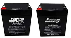 Amazon.com : Razor E100 E125 E150 Electric Scooter battery 12V 5AH - 2