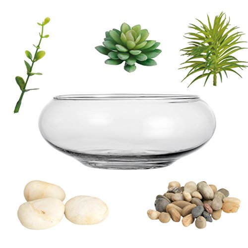 Zeesline Clear Glass Terrarium Vase, Planter Bowl with Succulents and