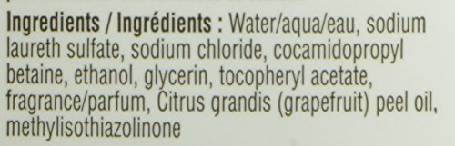 J.R. Watkins Liquid Hand Soap Aloe and Green Tea, 11 fl. oz.