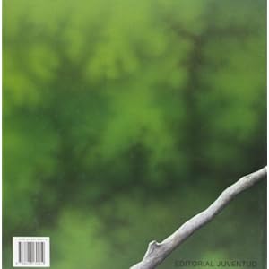 Verdi (Spanish Edition)