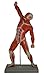 Wellden Anatomical Human Muscular Figure Model, 1/4 Life Size, 18.5''