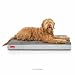 Brindle Waterproof Designer Memory Foam Pet Bed primary