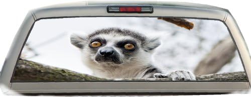 Lemur- 22 Inches-by-65 Inches- Rear Window Graphics