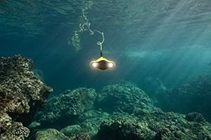 gladius underwater drone amazon