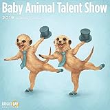 Baby Animal Talent Show 2020 by 
