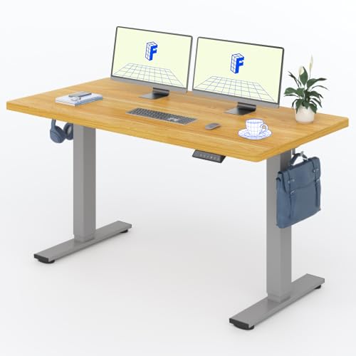 FLEXISPOT Höhenverstellbarer Schreibtisch Basic 140x80cm