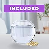 Grow Buddha Lotus Kit – Complete Beginner Seed Starter Kit with Vase & view 7