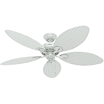 Hunter Indoor Outdoor Ceiling Fan With Pull Chain Control