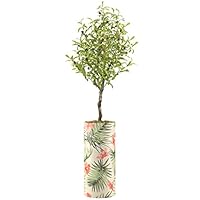 SIGNWIN Olive Tree with Green Palm & Pink Flower Illustrated Vase Floral Plants Minimalism Zen Relax/Calm Multicolor Ultra for Living Room, Bedroom, Office - X-Large 5 Feet (60