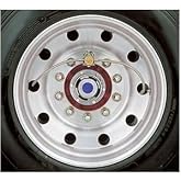 Crossfire Dual Tire Pressure Equalization System, 100 PSI, one per pkg. (CF100STABT)