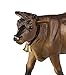 Safari Ltd Safari Farm Jersey Cow