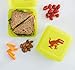 Crocodile Creek Kids Eco Reusable Dinosaur T-Rex Sandwich Keeper, Green