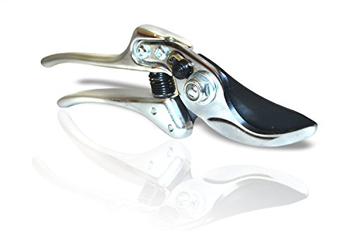 Basilica Botanica Pruning Shears - Best Gardening Tool - Thumbnail 3