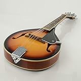 New Sunset 8 Strings Elegant Cambered Wood Acoustic