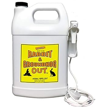 Amazon.com : Rabbit & Groundhog Repellent: Rabbit Out 1 Gallon Ready-to