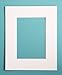 5x7 Mat for 8x10 Frame - Precut Mat Board Acid-Free White 5x7 Photo Matte Made to Fit a 8x10 Picture Frame, Premium Matboard for Family Photos, Show Kits, Art, Picture Framing, Pack of 10 Mats