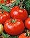 100 Beefsteak Tomato Seeds