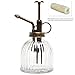 MyGift® Mini Plant Mister for Inside, Glass Spray Bottle with Top Pump, Watering Can for Flower, Succulent and Cactus Clearing