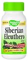 SIBERIAN ELEUTHERO pack of 19