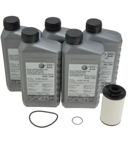Amazon.com: Dsg Transmission Service Kit