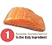 Whole Life Dog Just One Salmon Freeze Dried Dog Treats - Human Grade High Protein Food, Healthy Training Snacks, Freeze Dried Salmon Food Toppers, USA Made Natural Treats - 8 oz (Value Pack of 1)