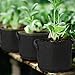 Tosnail 8 Pack 5 Gallon Potato Grow Bags Plant Grow Bag with Handlesthumb 4