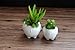 WISH HALLY WOOD Set of 2 Cute Elephant Flower Pot,Modern White Ceramic Succulent Planter Pots/Tiny Flower Plant Containers (Elephant)