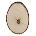 Walnut Hollow Bulk Value Pack Basswood Country Round, Medium for Home Décor and Rustic Weddings