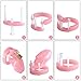 Pink Plasitc Cock Cage Chastity Cage Chastity Device for Male Penis Exercise with 5 Rings