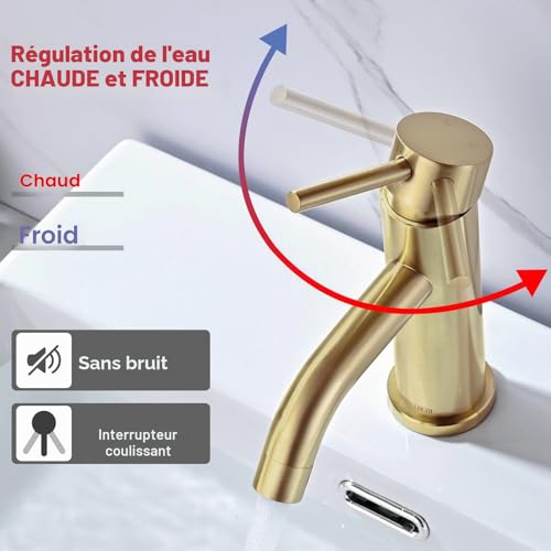 DETBOM Gold Basin Mixer Tap, Adjustable Hot and Cold Washbasin Tap, Stainless Steel, Removable Aerator, Lead Free, Brushed Gold