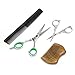 Aberlite Beard Scissors Kit for Men (5Pcs Set) | Professional Micro-Serrated Beard/Hair Scissors, Travel Size Precision Beard/Mustache Scissor, Sandalwood Pocket Comb, and Leather Case